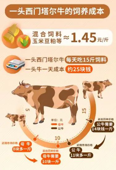 巴西回应中方调查进口牛肉 ：中国牛肉要无惧竞争(图5)